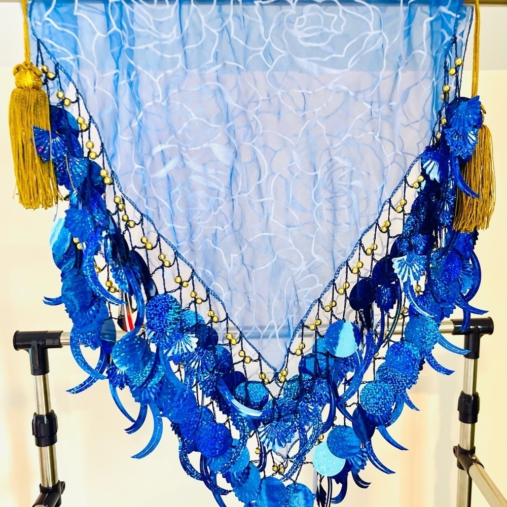 Wrap Skirt, Dance Performance, Bellydance with Accents Flowers and Shells - Picture 12 of 12